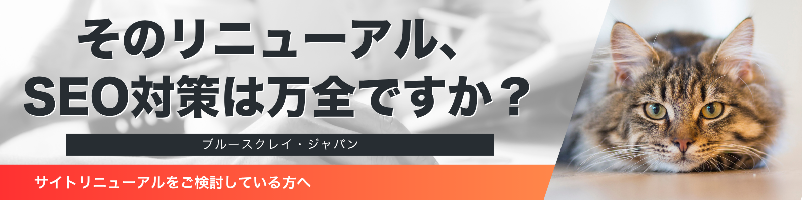 リニューアルSEO問い合わせ
